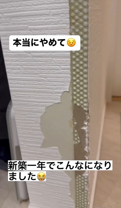 中がグリーンの壁