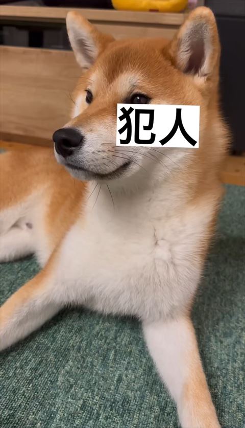 オススメ