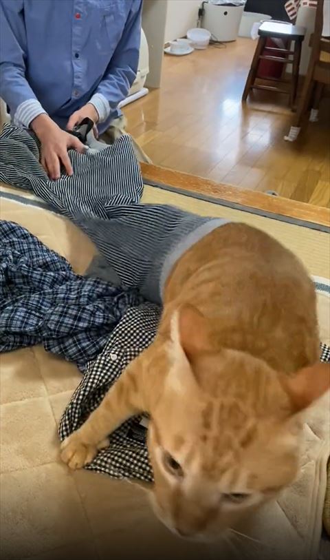 足が泥まみれなワンコ