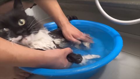 お風呂中カメラ目線