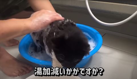 湯加減いかがですかテロップ