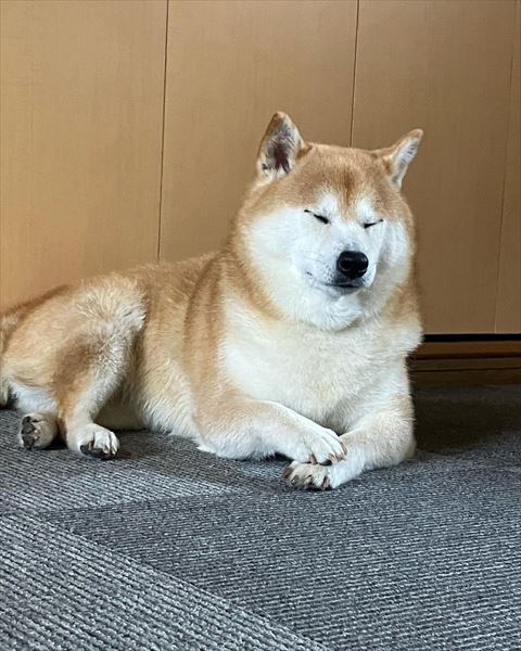 お手て重ねて寝てる