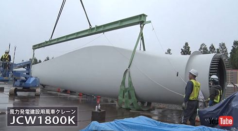 地上で見る「羽」、めっちゃでかい！