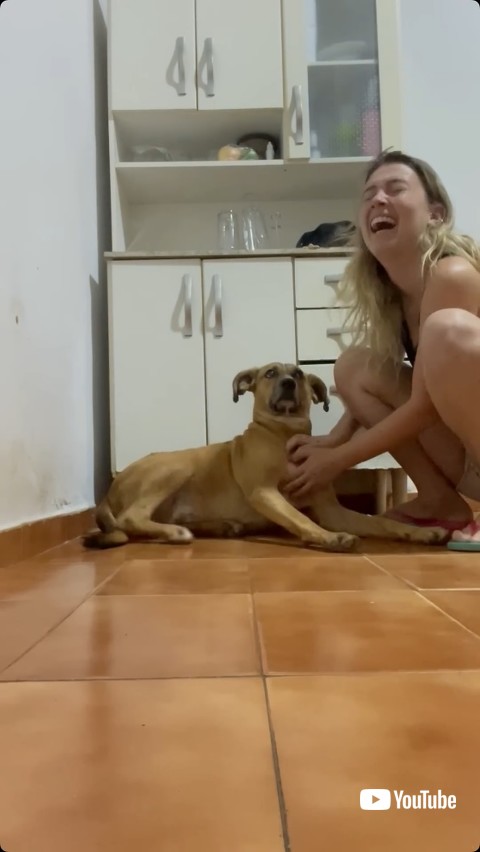 気持ちよくて寝そべる犬