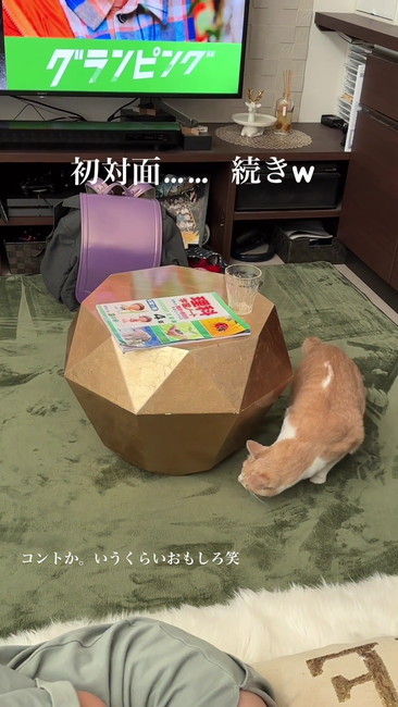 この先にいたはず