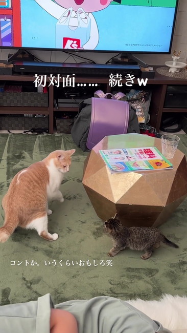 振り返ってビックリ