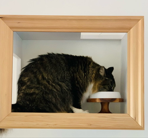 絵画のような猫