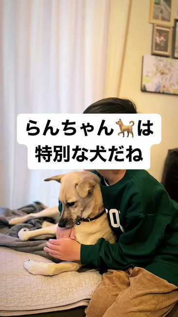 特別な犬だね