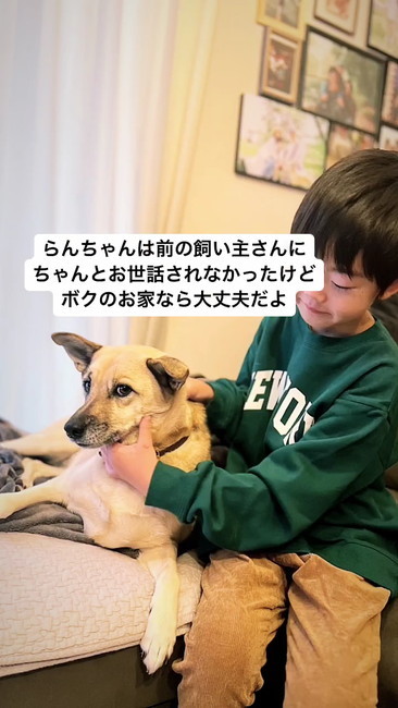 僕のお家なら大丈夫