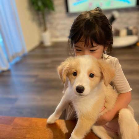 いもうとの犬と娘