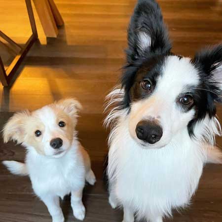 アグちゃんとパーちゃん