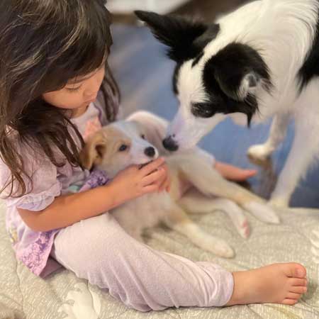 パーちゃんが家族になった画像