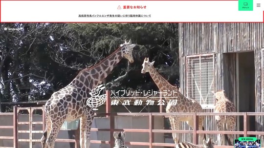 東武動物公園は12月22日、コブハクチョウが鳥インフルエンザに感染している疑いがあるとして、臨時休園を発表