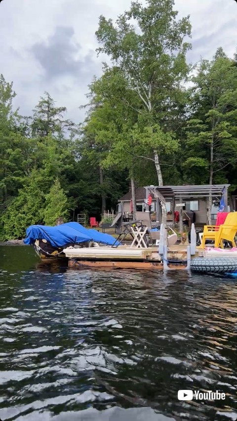 遠くから走ってくる犬