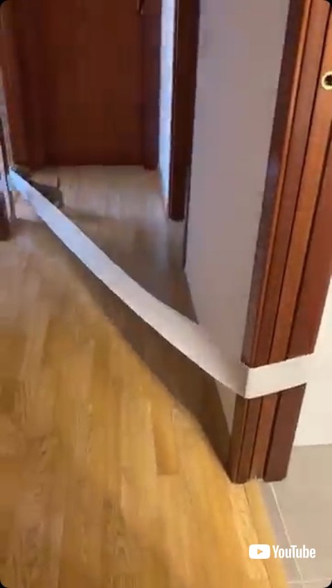 トイレットペーパーを引っ張り続ける犬