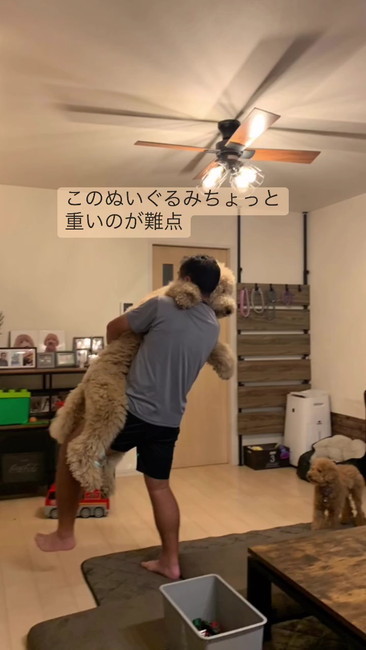 重いのが難点