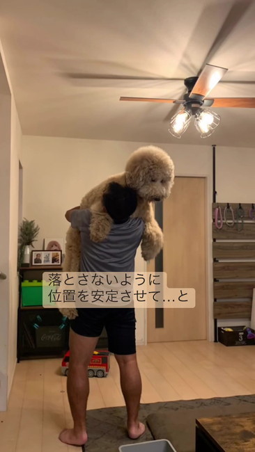 安定させて