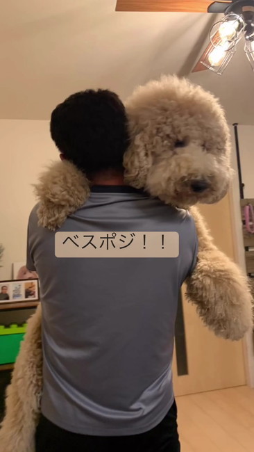 ベスポジ