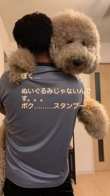 ぬいぐるみじゃないよ