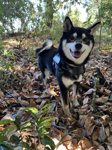 すみすみちゃん