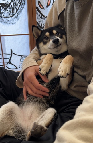 すみすみちゃん