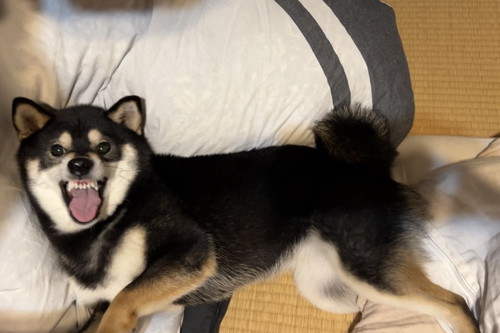 すみすみちゃん