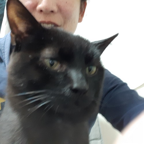 黒猫と飼い主ぶれてる