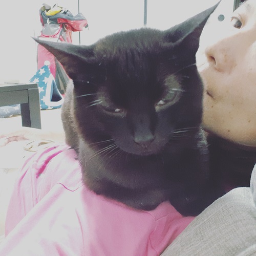 飼い主にキスされる猫ちゃん