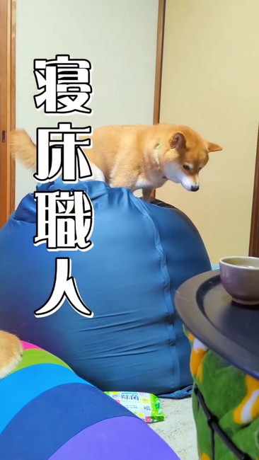 スティーブ過去