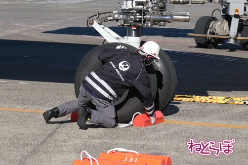羽田神社 合格祈願御守り