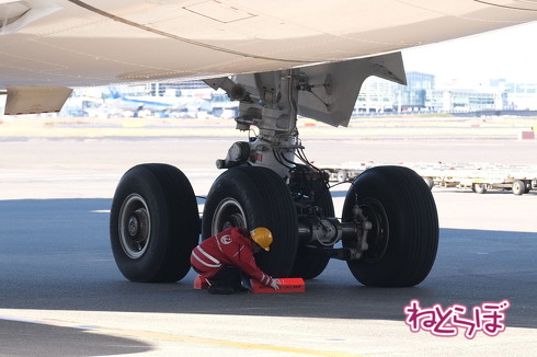羽田神社 合格祈願御守り