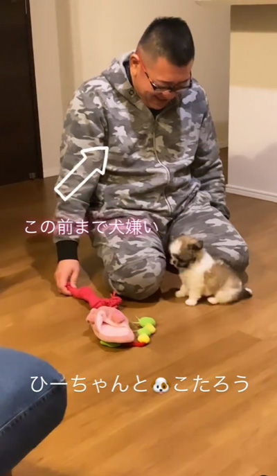 犬迎えた夫