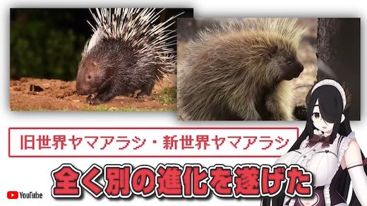 ポケモン 伊東ライフ ミリしら お絵かき VTuber ゲーム実況 縛りプレイ