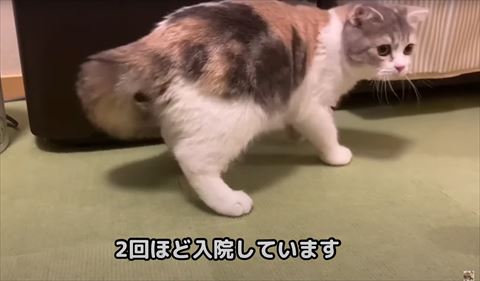 2回ほど入院テロップ