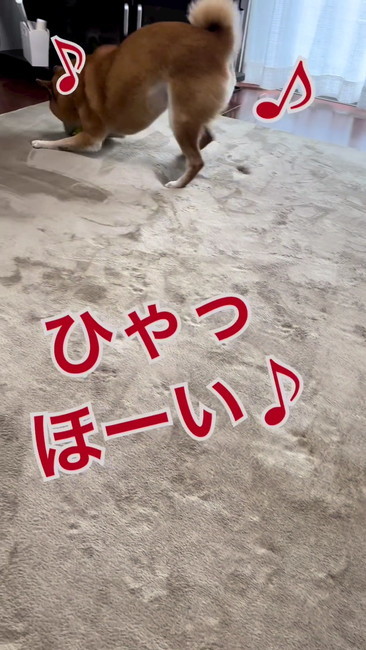 ひゃっほ〜い♪