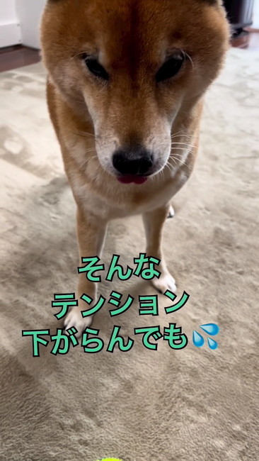 テンション下げ