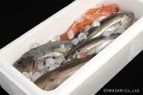 いわさきグループおいしさのアート展2022