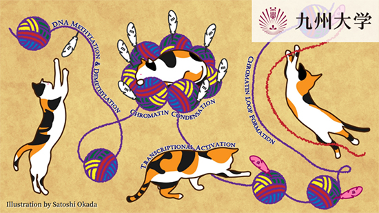 プロフェクトサムネイル