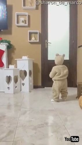 「Baby and Dog Match Outfits || ViralHog」