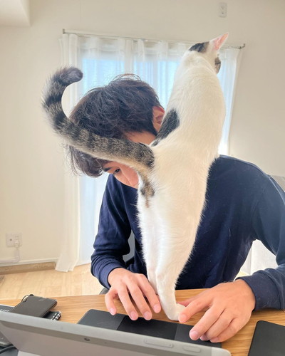 抱っこをねだる猫