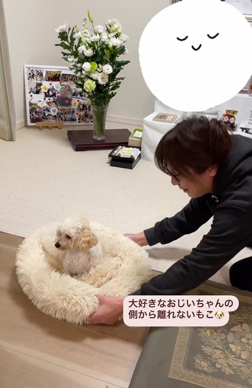 祖父の祭壇の前から離れないワンコ