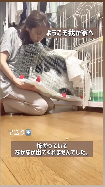 ようこそ我が家へ