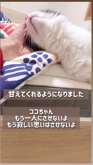 甘えてくれるように