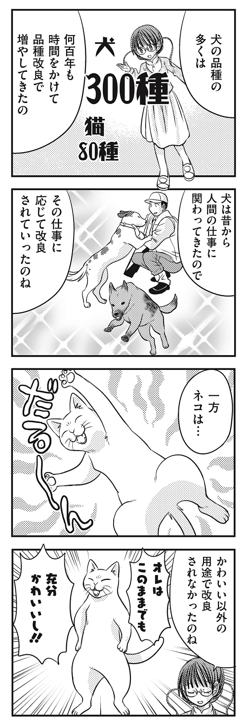 心的飽和 卒業式 ゆっくり解説