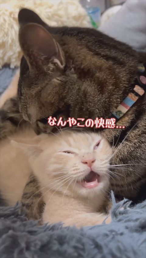 白目むいてなんやこの快感