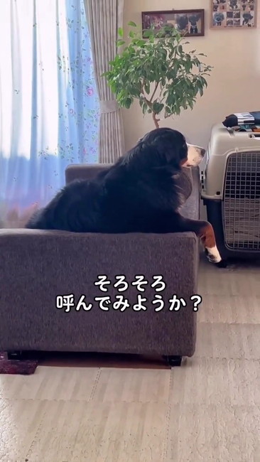 呼んでみようか