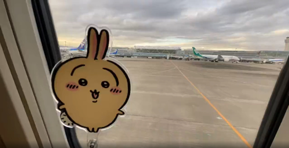 ちいかわのうさぎをタイムラプスで撮影したら失敗