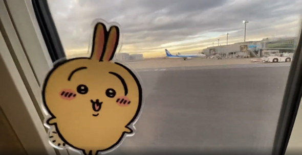 ちいかわのうさぎをタイムラプスで撮影したら失敗