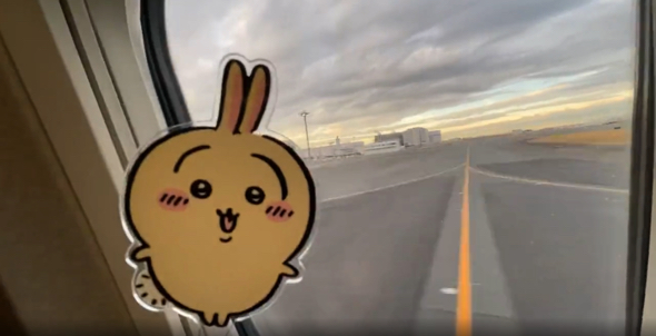 ちいかわのうさぎをタイムラプスで撮影したら失敗