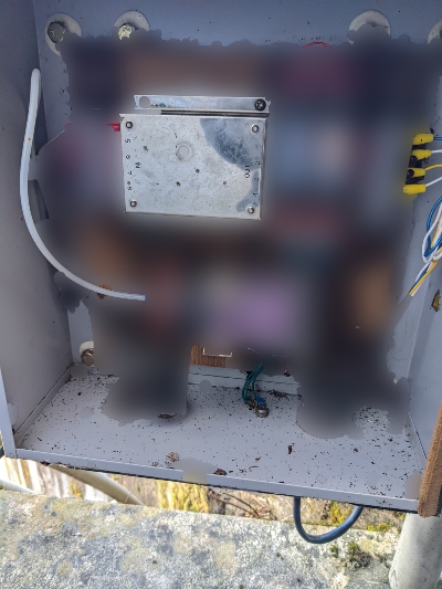 てんとう虫がびっしりとくっついていた配電盤